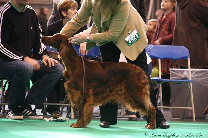 Crufts2011 001.jpg